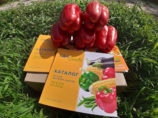 Фото к записи: Менчул F1 – найраніший урожай серед кубоподібних солодких перців!