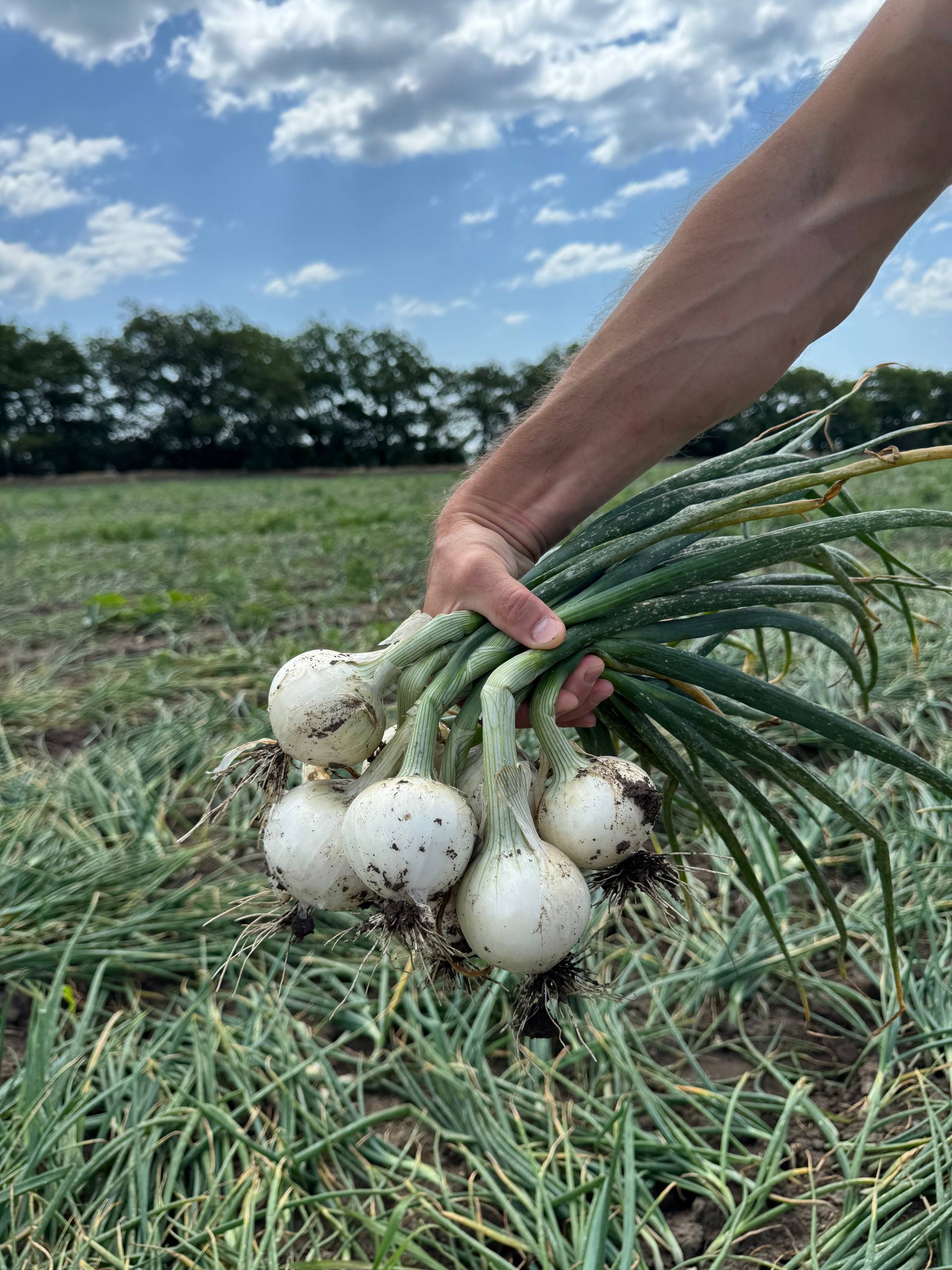 Фото: 1 бьянка