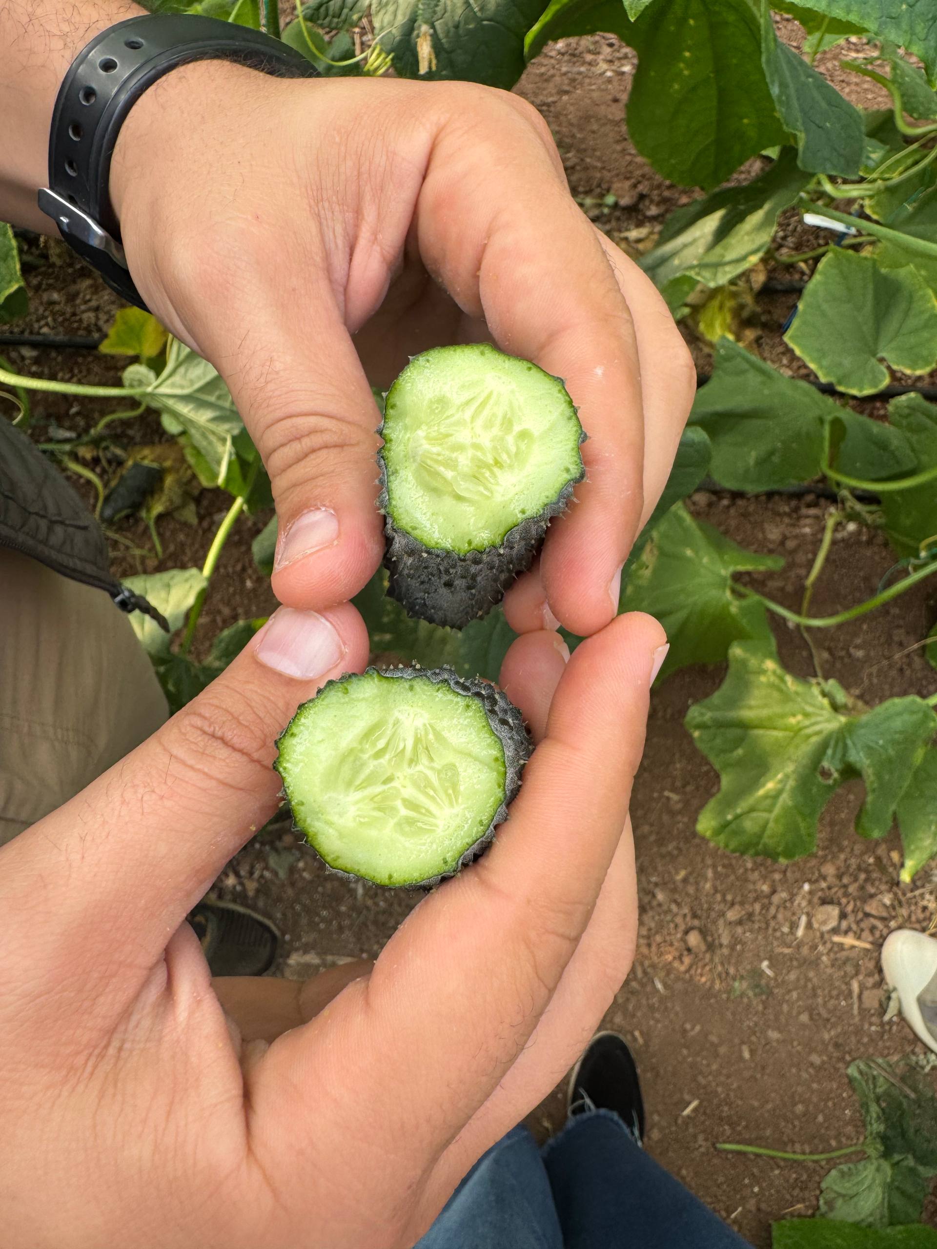 Фото: 5314781408012212069_119