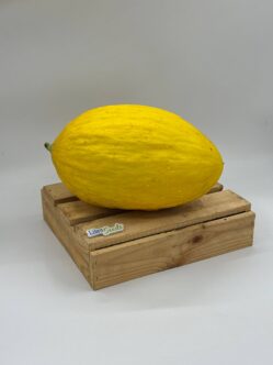 Фото: Новинка LS 10 F1