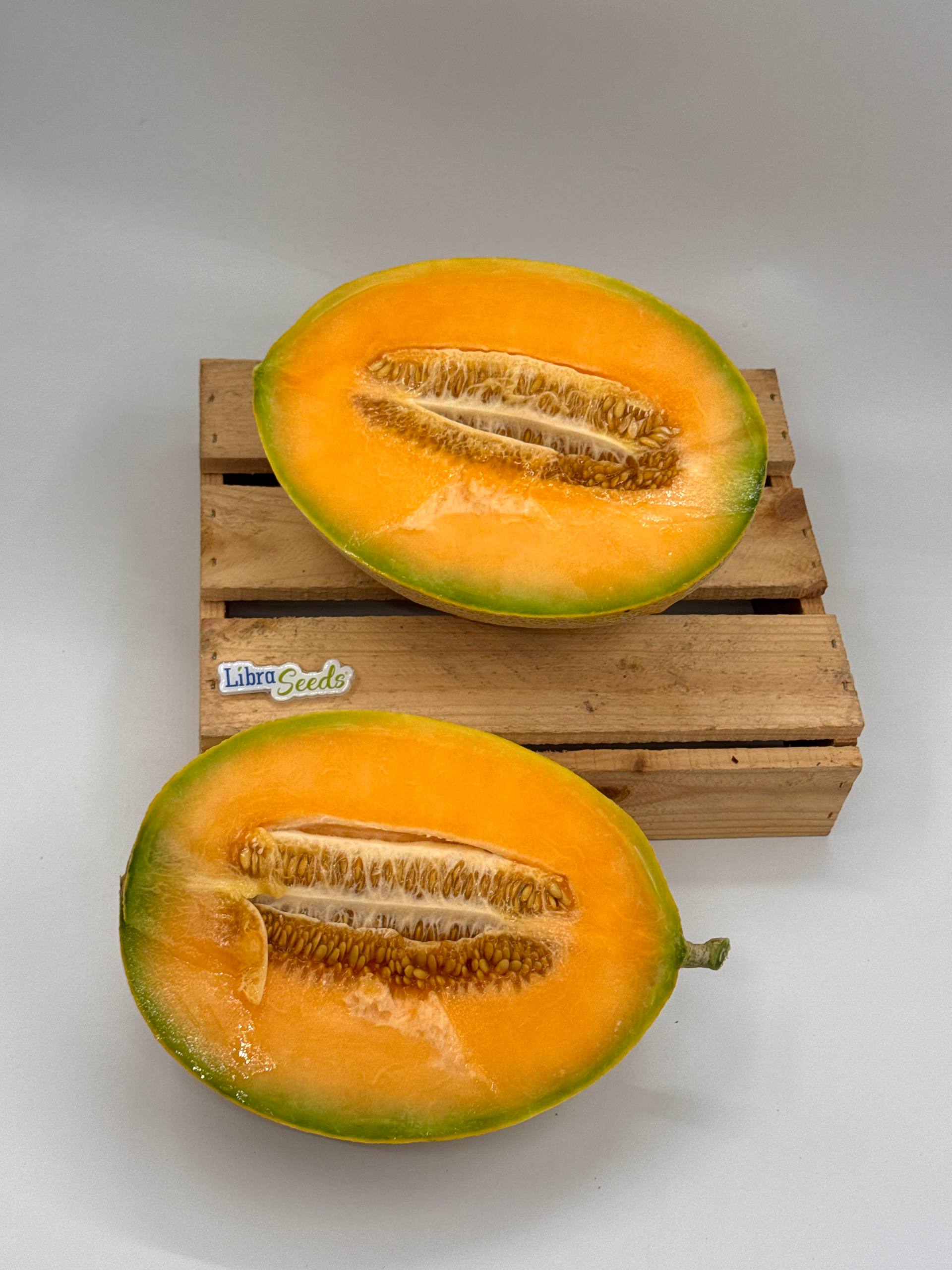 Фото: Новинка LS 2228 F1