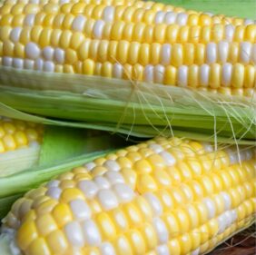 Фото: Новинка LS 5659 F1