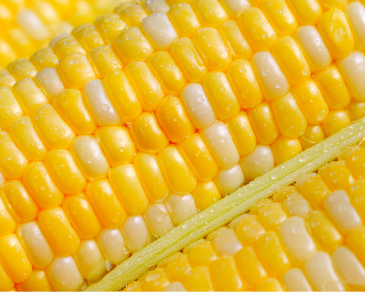 Фото: Новинка LS 5659 F1