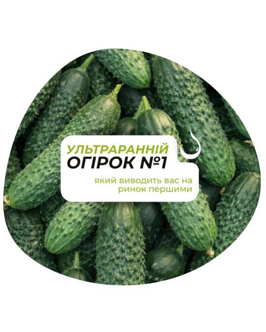 Фото: НОВИНКА LS 888 F1