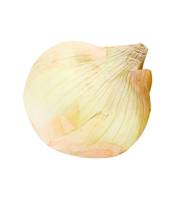 Фото: Альбатрос F1