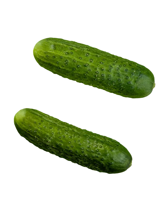 Фото: НОВИНКА LS 888 F1