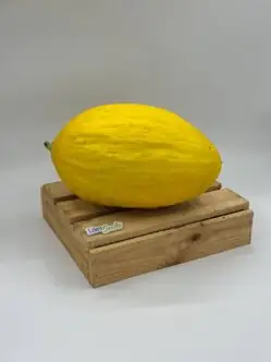 Фото: Новинка LS 10 F1