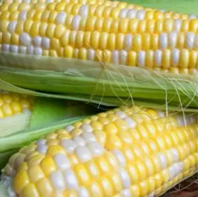 Фото: Новинка LS 5659 F1