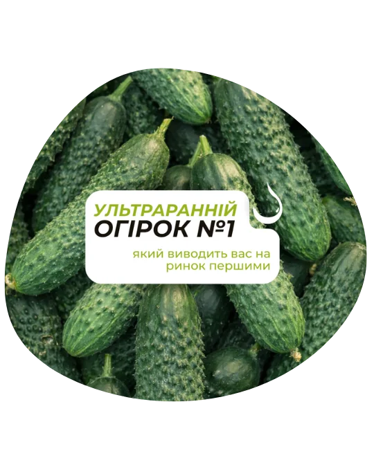 Фото: НОВИНКА LS 888 F1